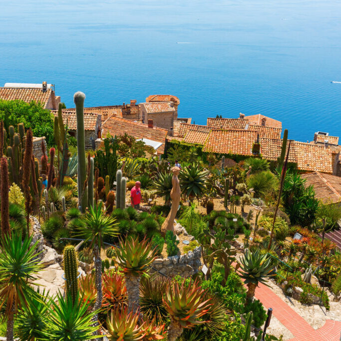 The exotic garden of Eze, France (Le Jardin Exotique d'Eze)